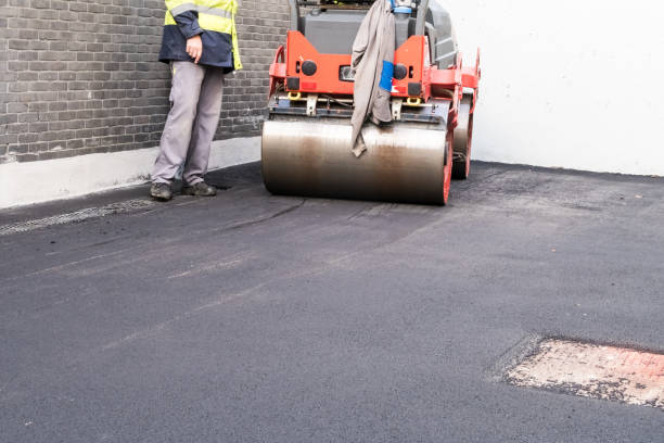 Best Driveway Maintenance Services  in Muskegon, MI